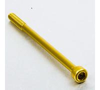 Pro-Bolt LPB695G - Tornillo Allen (aluminio, M6 x 1 mm x 95 mm), color dorado