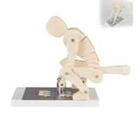 Pro Correct - Modelo de levantamiento de pesas, modelo de demostración de fuerza de columna vertebral humano con base, entrenador de postura del cuerpo humano, entrenador interactivo de columna lumbar