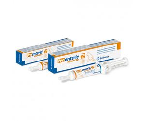 Pro-Enteric Advanced - Soporte intestinal para perros - Bioiberica - Cantidad: 15 ml