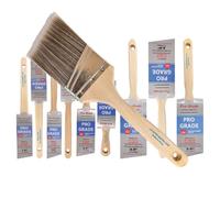 Pro Grade - Pinceles de Pintura, Paquete de 10 Pinceles de Pintura en ángulo Variado