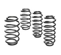 Pro-Kit E10-75-030-04-22 - Muelles para bajar la suspensión
