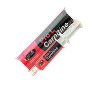 Pro L carnitine mangime complementare per cavalli sportivi 60 ml Horse Master