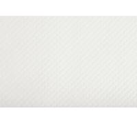 Pro Mantel - Ref 354051I - Mantel desechable de Papel gofrado Blanco Brillante - Formato 30 x 40 cm - Color Blanco - Fabricado en Francia - En Paquetes de 500 Sets.
