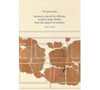 Pro memoria. Intonaci e stucchi da Altinum Località Campo Rialto. Note dal cantiere di restauro (Arte)