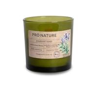 Pro Nature Vela para el hogar perfumada (verde)