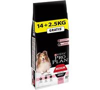 Pro Plan Sensitive Skin Medium - Pienso para perros adultos medianos con piel sensible - Salmón - Cantidad: 14 + 2,5 kg GRÁTIS