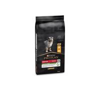 Pro Plan Healthy Start Medium Puppy Pollo - 3 kg