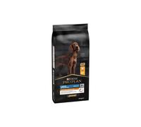 Pro Plan OptiBalance Large Athletic Adulto - 2 x 14 kg
