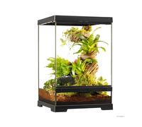 Pro Terrarium X-Small Tall Exo Terra 30×30×45 cm - Terrario Alto Compacto para Reptiles