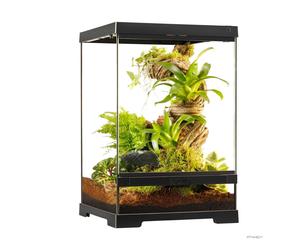 Pro Terrarium X-Small Tall Exo Terra 30×30×45 cm - Terrario Alto Compacto para Reptiles