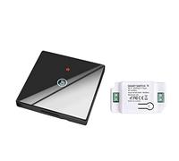 proAMEDEN Interruptor tactil de pared, panel de cristal táctil+Relé inalámbrico,10A, funciona con app Tuya/Smart Life, compatible con Alexa y Google Assistant(1/un-1GangWS+1/un Controller Black)