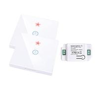 proAMEDEN Interruptor tactil de pared, panel de cristal táctil+Relé inalámbrico,10A, funciona con app Tuya/Smart Life, compatible con Alexa y Google Assistant(2/un-1*GangWS+1/un Controller White)