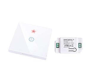 proAMEDEN Interruptor tactil de pared, panel de cristal táctil+Relé inalámbrico,10A, funciona con app Tuya/Smart Life, compatible con Alexa y Google Assistant(1/un-1GangWS+1/un Controller White)