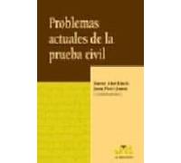 Problemas Actuales De La Prueba Civil
