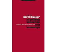 Los Problemas Fundamentales De La Fenomenologia