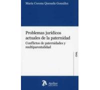 Problemas Jurídicos Actuales De La Paternidad.conflictos De Paternidad