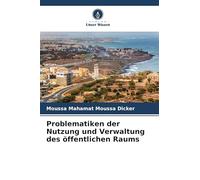 Problematiken der Nutzung und Verwaltung des öffentlichen Raums