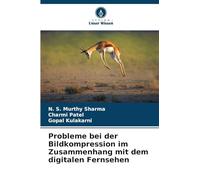 Probleme bei der Bildkompression im Zusammenhang mit dem digitalen Fernsehen