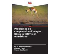 Problèmes de compression d'images liés à la télévision numérique