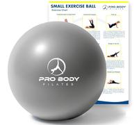 ProBody Pilates Pelota de Ejercicio pequeña, Mini Pelota de Yoga Suave de 9 Pulgadas para Estabilidad, Barra, Abdominales, núcleo, Fisioterapia y Terapia física en casa, Gimnasio y Oficina (Plateado)