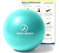 ProBody Pilates Pelota pequeña de Gimnasia de 9 Pulgadas, Bola de Entrenamiento para Estabilidad, Barriga, Tronco, Fisioterapia y Fisioterapia para Gimnasio (Agua)