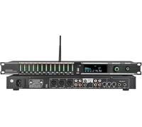 Procesador de audio digital, efector preetapa KTV con control remoto, entrada de micrófono USB y Bluetooth, reverberación digital y procesador de aullidos para rendimiento escénico