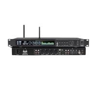 Procesador De Audio Dispositivo De Efecto Previo De Karaoke De Audio Con Botón De Ajuste De Volumen For Escenario KTV