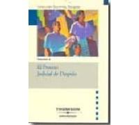 Proceso Judicial De Despido