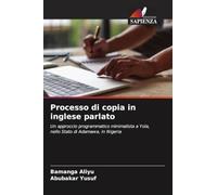 Processo di copia in inglese parlato: Un approccio programmatico minimalista a Yola, nello Stato di Adamawa, in Nigeria