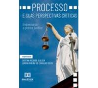 Processo E Suas Perspectivas Críticas (ebook)