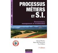 Processus métiers et systèmes d'information: Gouvernance, management, modélisation (Infopro)