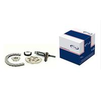 PROCODIS France KTC3818 - Kit de cadena de distribución