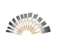 ProDec Decorator's Docena Juego de pinceles de pintura que incluye pinceles de corte para un acabado suave, pintura con emulsión, brillo, pinturas satinadas en paredes, techos, madera, metal, 2 x 1, 5