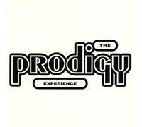 Prodigy - Experience
