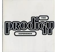 Prodigy - Experience