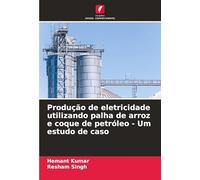 Produção de eletricidade utilizando palha de arroz e coque de petróleo - Um estudo de caso