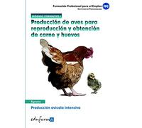 Producción de aves para reproducción y obtención de carnes y huevos: producción avícola intensiva