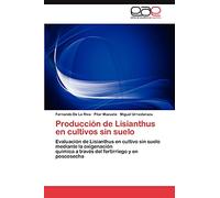 Producción de Lisianthus en cultivos sin suelo: Evaluación de Lisianthus en cultivo sin suelo mediante la oxigenación química a través del fertirriego y en poscosecha