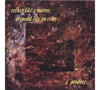 Produce - Reflect Like a Mirror Respond Like an Echo