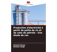 Production d'électricité à partir de paille de riz et de coke de pétrole - Une étude de cas