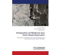 Production of Methane Gas from Shale Reservoirs: Production of Methane Gas from Shale Reservoirs Using Numerical Simulation Methods