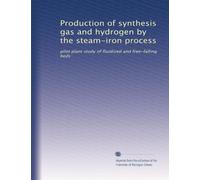 Production of synthesis gas and hydrogen by the steam-iron process: pilot plant study of fluidized and free-falling beds