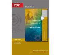 Productivité Efficience Et Valeur Ajoutée - Introduction (chapitre Pdf