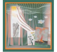 Products Band Some Sudden Weather (Vinyl) 12" Album (Clear vinyl)