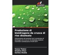 Produzione di bioidrogeno da crusca di riso disoleata: Ottimizzazione dei parametri per la produzione di bioidrogeno da crusca di riso disoleata mediante Clostridium acetobutylicum NCIM 2877