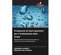 Produzione di etero-giunzioni per il trattamento delle acque: Dalla fabbricazione in più fasi alla comprensione del trasferimento di carica nelle etero-giunzioni