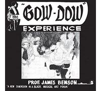 Prof. James Benson - The Gow-Dow Experience [Vinilo]