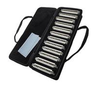 Profesional Armónica Color Blanco 12 Unids/set 10 Agujeros Llave Normal Armónica Juego De Arpa Profesional
