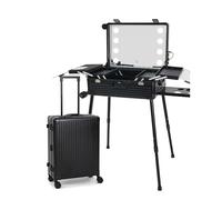 Profesional Estuche para Maquilladores, Aluminio Maquillaje de Tren Maleta con Ruedas Maquillaje Trolley Maleta con Luces LED for Maquilladores, Peluqueros(Negro)