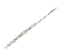 Profesional Flauta Travesera Flautas C Con Orificio Abierto/cerrado, Juego De Flauta Chapada En Plata De 16 Teclas Con Estuche Y Accesorios Para Soporte De Flauta